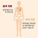 P-7703 이미지