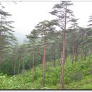 다우목장 이미지