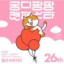 냥이들이 좋아하는 놀이터 퍼르르펙트 백설냥 고양이캣타워 실 사용 후기