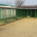 마리농장 이미지