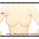 W여성외과 이미지