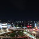 양산교 | 도림천 탐방 (대학동에서 신림역까지!) (Feat. 오리)