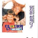 덤앤더머 이미지