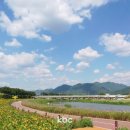 황룡강변2 이미지