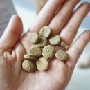 가남동물병원 이미지