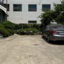 이가홍가 이미지