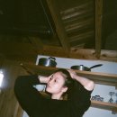 11 이미지