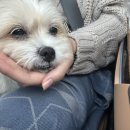 부귀산장펜션 이미지