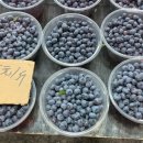 연길농장 이미지