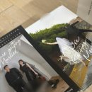 기브미모어 | 미리캔퍼스와 성원애드피아에서 엽서형 셀프청첩장 3만원으로 300장 만들기