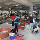 해남5일시장 이미지