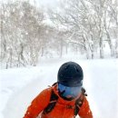 하늘수선 이미지