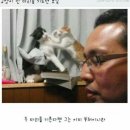 무념무상 이미지