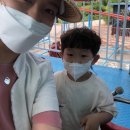 승재 농장 | 곡성 &#34;섬진강기차마을드림랜드&#34; 다녀온 후기