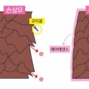 올댓헤어 이미지