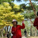 수안보중 이미지