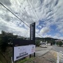 노라도라 이미지