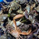 온정민박 이미지