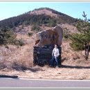 구좌읍사무소 이미지