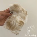 in_waxing 이미지