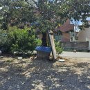 이선이칼국수 이미지