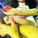 치앙마이 여행 (8) - 타패게이트, 센트럴 페스티벌, 선데이 마켓 후기