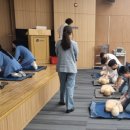 세종병원 이미지