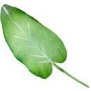 장터카센타 이미지