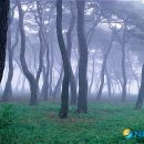 송림회관 이미지