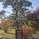 (주)세종교통 | [공지] 여주 가을 여행(3) : 세종대왕릉과 효종대왕릉 영릉 순례 후기