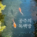 아사쿠사&amp;롯폰기&amp;시부야 편_맛집부터 숙소, 솔직해도 너무 솔직한 후기들까지..여행꿀팁도 챙겨가세요~!