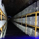 와인터널 이미지