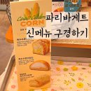 파리바게뜨미장센트럴점 | 파리바게트 신메뉴 옥수수빵 외 케이크 롤케이크 기프티콘