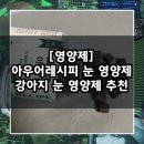아우어펫 | [영양제] 눈물 자국 개선 영양제 추천 / 아우어레시피 강아지 눈 영양제