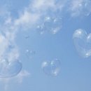 아름다운날들 이미지