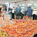 총각네강남 이미지