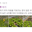 해진농장 이미지