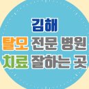 흥동환경 | 김해 탈모 전문 병원 두피 탈모관리 잘하는 곳 추천 List