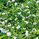 나무와창 이미지