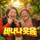 중앙노모당 | 익산 대형카페 카페덕기, 90대 노모와 함께한 바나나 온실 카페 이야기