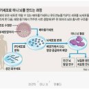 무진과학 이미지