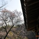 담양-04 이미지