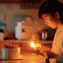 스타일펫츠 이미지