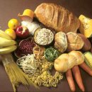 수진2호 이미지