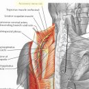 서울강남내과의원 이미지