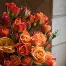 진짜피시방 이미지