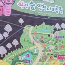 나비공원 이미지