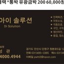 디아이솔루션 이미지