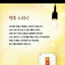 한잎클로버 이미지