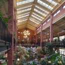 카페포레스트 이미지